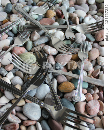 Vertical Background With Variety Silvery Forks Scattered On Small Colorful Sea Rocks Vertical Background With Variety Silvery Forks Scattered On Small Colorful Sea Rocks 125737220