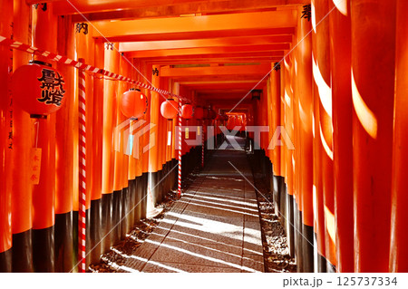伏見稲荷大社本宮祭 千本鳥居と提灯 夏祭り 京都観光スポット 伏見稲荷大社本宮祭 千本鳥居と提灯 夏祭り 京都観光スポット 125737334
