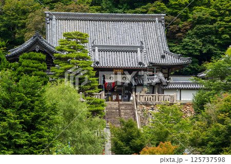 柳谷観音楊谷寺の風景 山門と本堂、初夏の長岡京 柳谷観音楊谷寺の風景 山門と本堂、初夏の長岡京 125737598