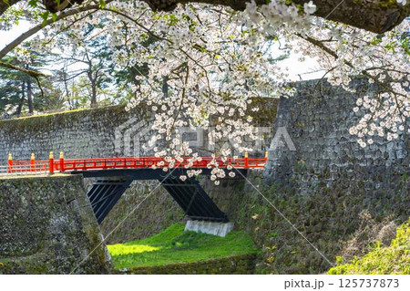 満開の桜と鶴ヶ城（会津若松城）の廊下橋　福島県会津若松市 125737873