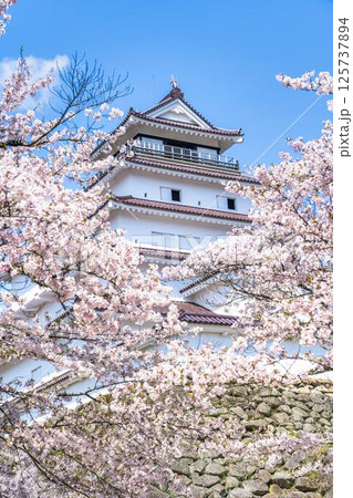 満開の桜と鶴ヶ城（若松城）　福島県会津若松市 125737894