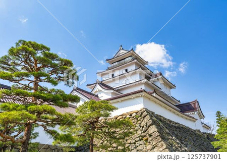 青空と鶴ヶ城(会津若松城) 福島県会津若松市 青空と鶴ヶ城(会津若松城) 福島県会津若松市 125737901