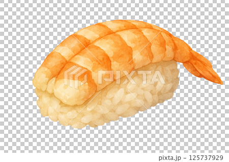 えびの握り寿司のイラスト｜水彩風・海老・おいしそうな和食素材 125737929