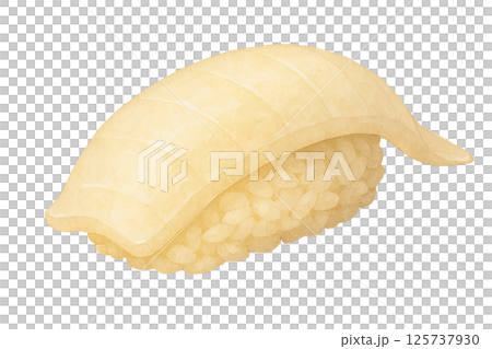 いかの握り寿司のイラスト｜水彩風・イカ・和食素材・白背景 125737930