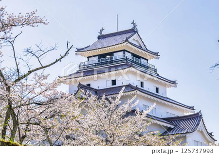 満開の桜と鶴ヶ城（若松城）　福島県会津若松市 125737998