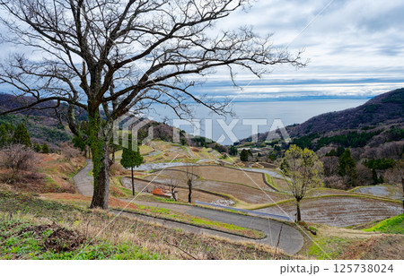 岩首昇竜棚田 岩首昇竜棚田 125738024