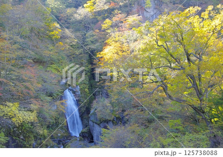 秋の南アルプス・尾白川渓谷・不動滝 125738088