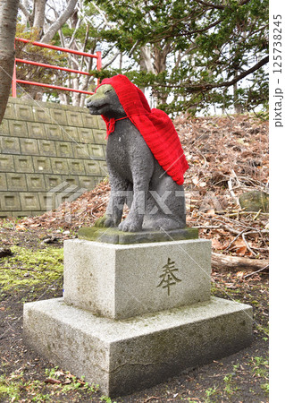 春の北海道函館市で石倉稲荷神社境内の風景を撮影 春の北海道函館市で石倉稲荷神社境内の風景を撮影 125738245