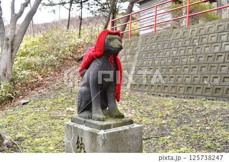 春の北海道函館市で石倉稲荷神社境内の風景を撮影 春の北海道函館市で石倉稲荷神社境内の風景を撮影 125738247