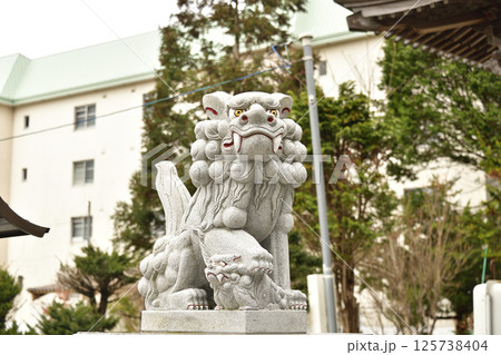 春の北海道函館市で高穂神社境内の風景を撮影 125738404