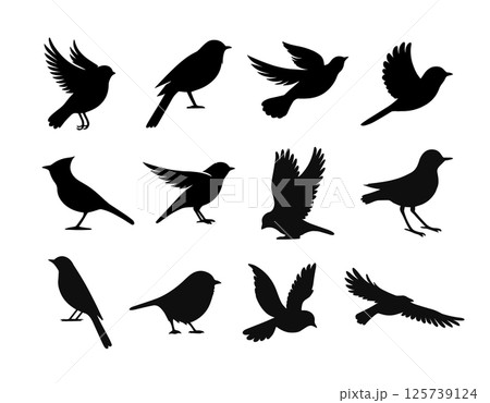 Vector birds silhouette fly sparrow icon. Animal dove bird silhouette raven feather perch cardinal 125739124