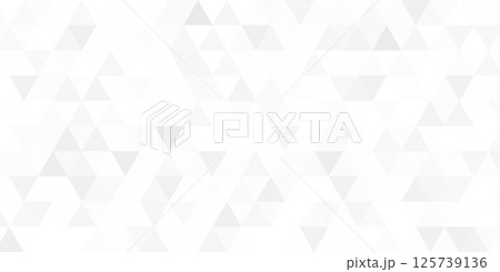 White pattern triangle abstract background gray mosaic modern shape graphic simple design 125739136