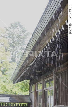 神社の境内で雨宿り 125739196