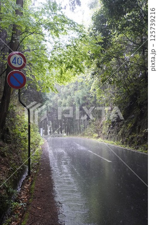 吉野神宮へ参る参道は雨 125739216