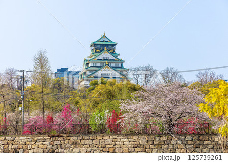 大阪城公園 (4月 晴れ) 大阪城公園 (4月 晴れ) 125739261