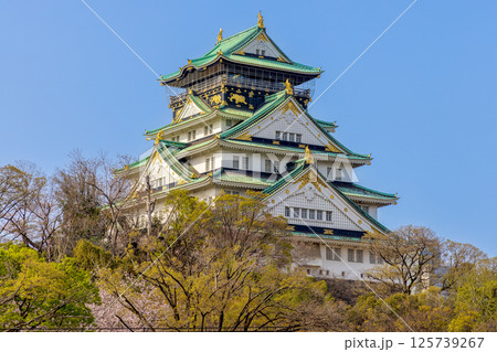 大阪城公園 (4月 晴れ) 大阪城公園 (4月 晴れ) 125739267