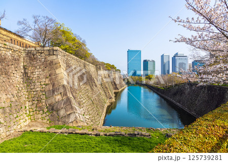 大阪城公園 (4月 晴れ) 大阪城公園 (4月 晴れ) 125739281