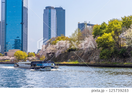 大阪城公園　(4月　晴れ) 125739283