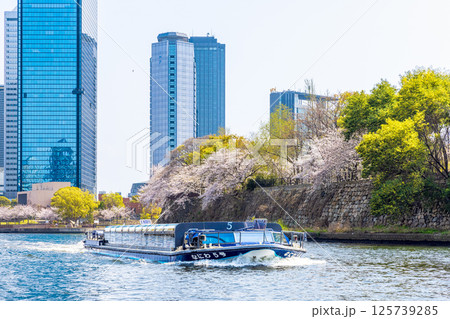 大阪城公園 (4月 晴れ) 大阪城公園 (4月 晴れ) 125739285