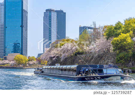 大阪城公園　(4月　晴れ) 125739287