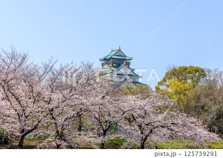 大阪城公園　(4月　晴れ) 125739291