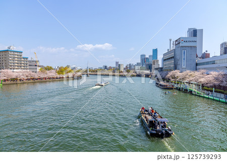 大阪城公園　(4月　晴れ) 125739293
