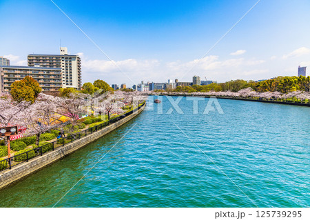 大阪城公園　(4月　晴れ) 125739295