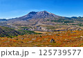 へレンズ山、ワシントン州、USA 125739577