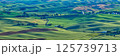 パルーズ(Palouse) 125739713