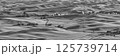 パルーズ(Palouse) 125739714