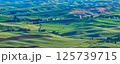 パルーズ(Palouse) 125739715