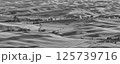 パルーズ(Palouse) 125739716
