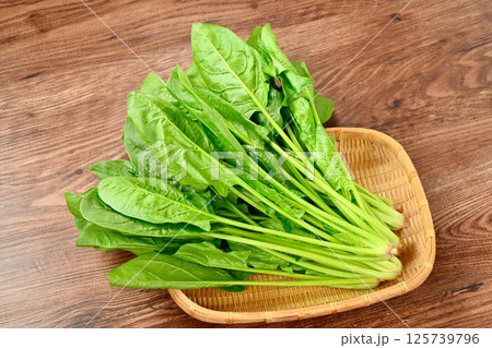 ほうれん草、ホウレンソウ、ほうれんそう、法蓮草、緑黄色野菜、葉物野菜。 ほうれん草、ホウレンソウ、ほうれんそう、法蓮草、緑黄色野菜、葉物野菜。 125739796