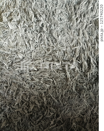 A fluffy rug creates cozy, inviting texture and pattern. warm, soft, and calming, inviting you to sink into comfort 125740220