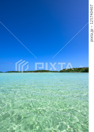 青空とエメラルドグリーンの海が広がる石垣島 125740407