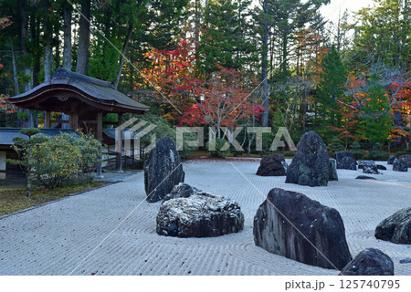高野山　秋の金剛峯寺の蟠龍庭 125740795