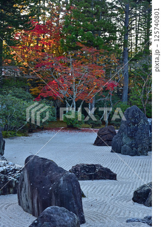 高野山 秋の金剛峯寺の蟠龍庭 高野山 秋の金剛峯寺の蟠龍庭 125740801