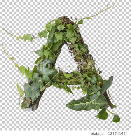 Plants and vines in the form of the letter A isolated on a transparent background  125741434