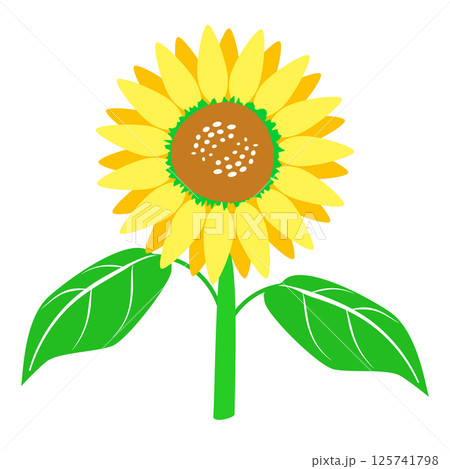 シンプルなひまわりの夏イラスト素材 一輪 花葉茎 ベクター png シンプルなひまわりの夏イラスト素材 一輪 花葉茎 ベクター png 125741798