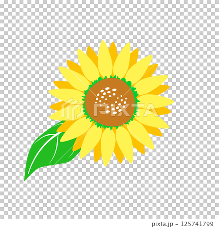 シンプルなひまわりの夏イラスト素材　アイコン　挿絵　ベクター　png 125741799