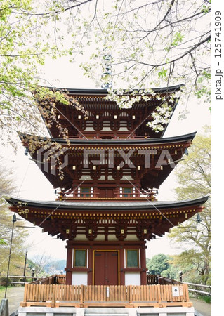 明日香　岡寺　三重宝塔 125741909