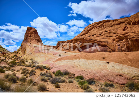 Wave-Like Sandstone Formations in Valley of Fire Eye-Level Perspective 125742062