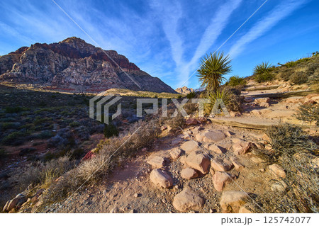 Red Rock Canyon Trail and Mountain Range at Eye Level Perspective 125742077