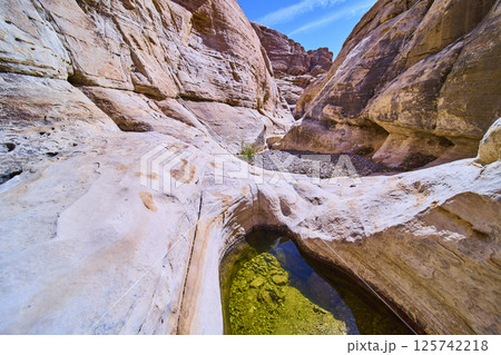 Red Rock Canyon Desert Oasis with Rugged Formations Low Angle View 125742218