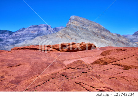 Red Rock Canyon and Turtlehead Peak Desert Scenery Eye-Level View 125742234