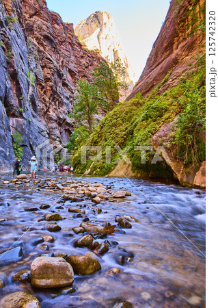 Zion National Park River Canyon Hikers Low Angle View Zion National Park River Canyon Hikers Low Angle View 125742320