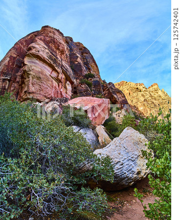 Red Rock Canyon Desert Landscape with Greenery Low Angle View 125742401