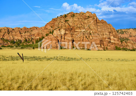 Golden Field and Sandstone Formations in Kolob Canyon Eye-Level View 125742403