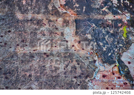 Weathered Petroglyphs Textures with Lichen Close-up in Red Rock Canyon 125742408