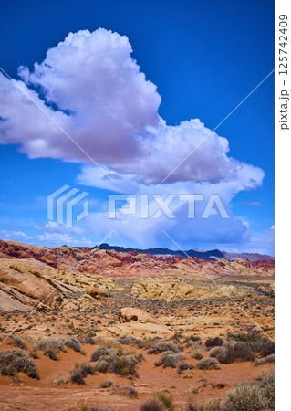 Desert Sandstone Formations Under Blue Sky and Clouds Eye Level View 125742409